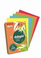 Farebný papier REY Adagio A4 80 g 5 x 100 mix intenzívne farby